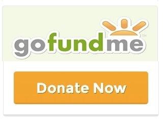 gofundme-donate-button